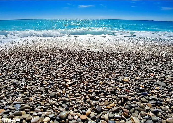 Florida Blue - Easy Home Booking