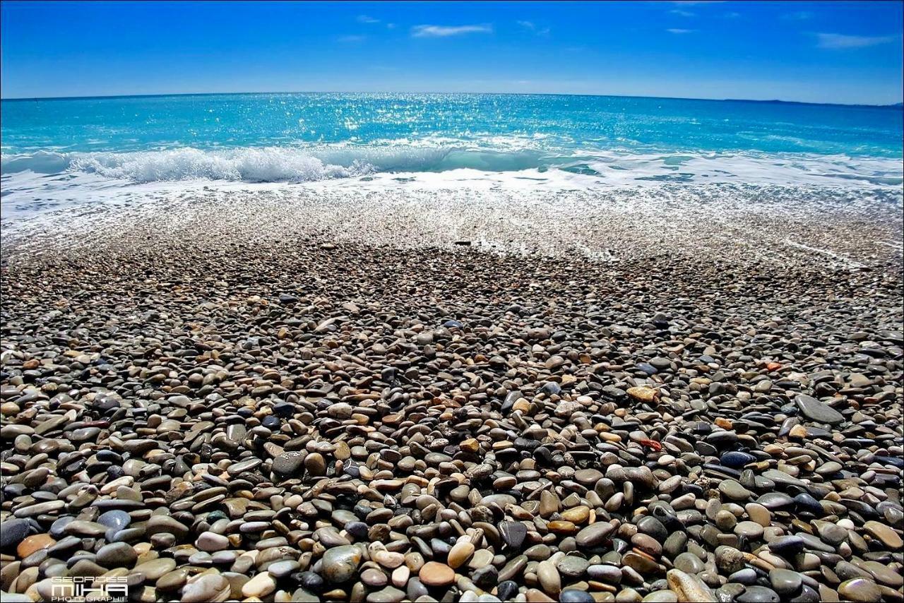 Florida Blue - Easy * Nizza